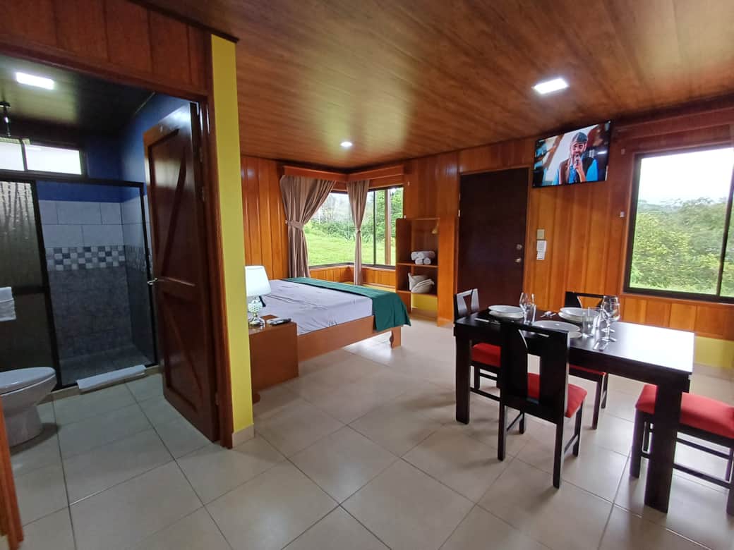 View 7