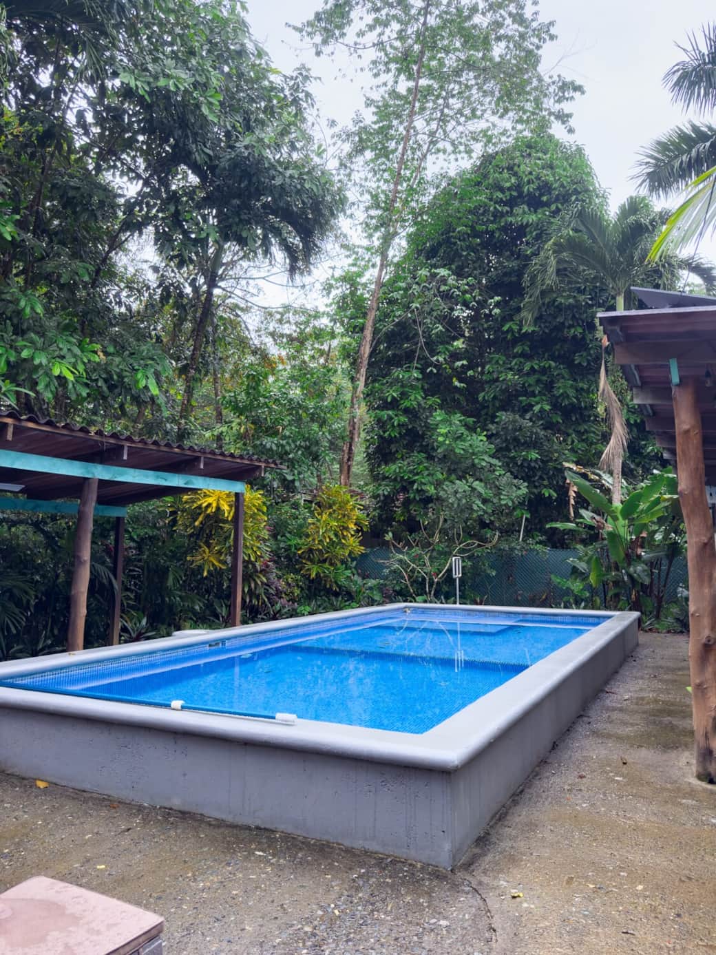 Wide view of the pool and dense jungle backdrop. Keep an eye out for monkeys, sloths, parrots, toucans, and agoutis (ñeques) that frequent the area.
