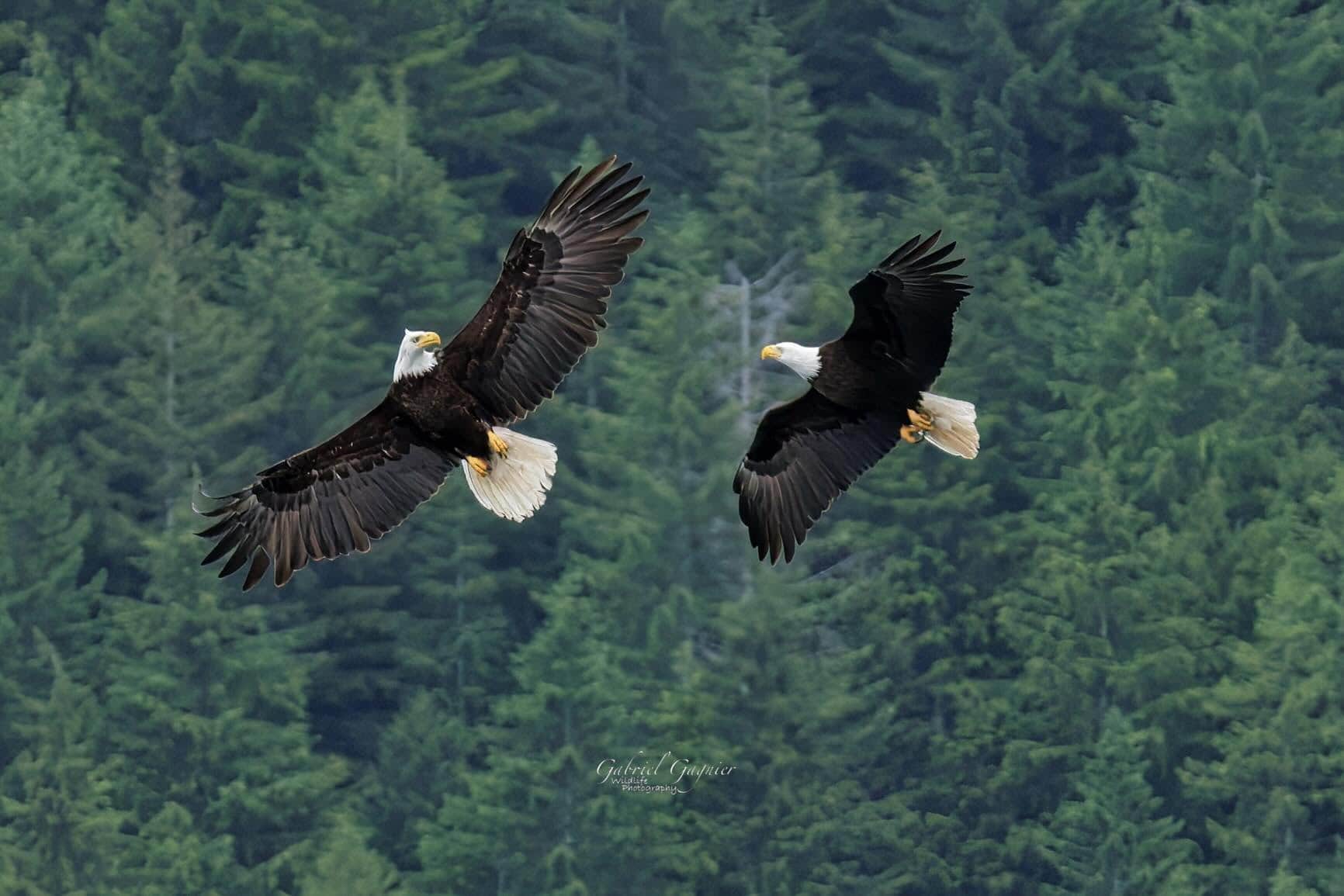 https://l.icdbcdn.com/oh/86aa4404-5d56-4158-bfde-bb049f5a3f4c.jpg?w=2080-41