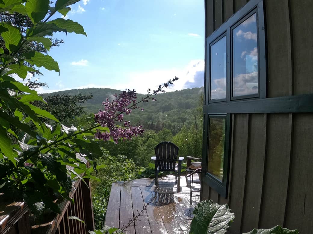 Lilac view