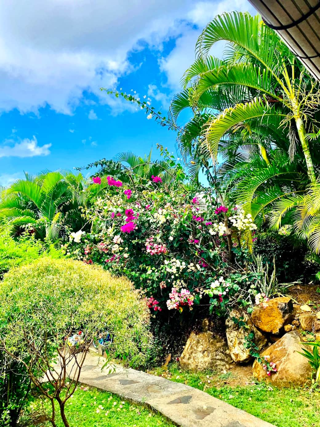 Le jardin de la résidence Le jardin de la résidence