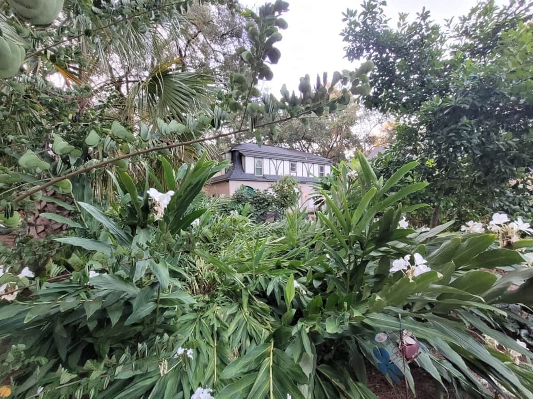 View from the swing through the Ginger