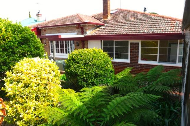 Beautifully manicured cottage garden