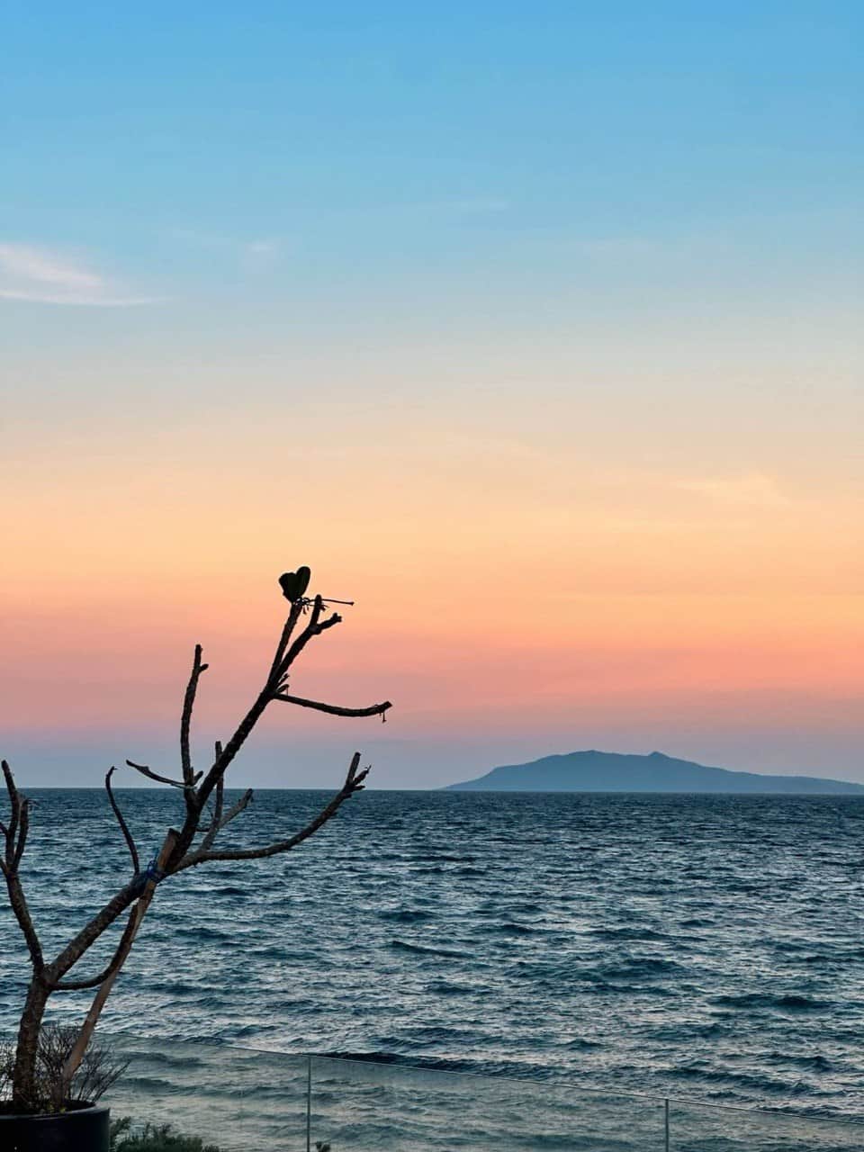 Photo 2026 03 31 10 25 34