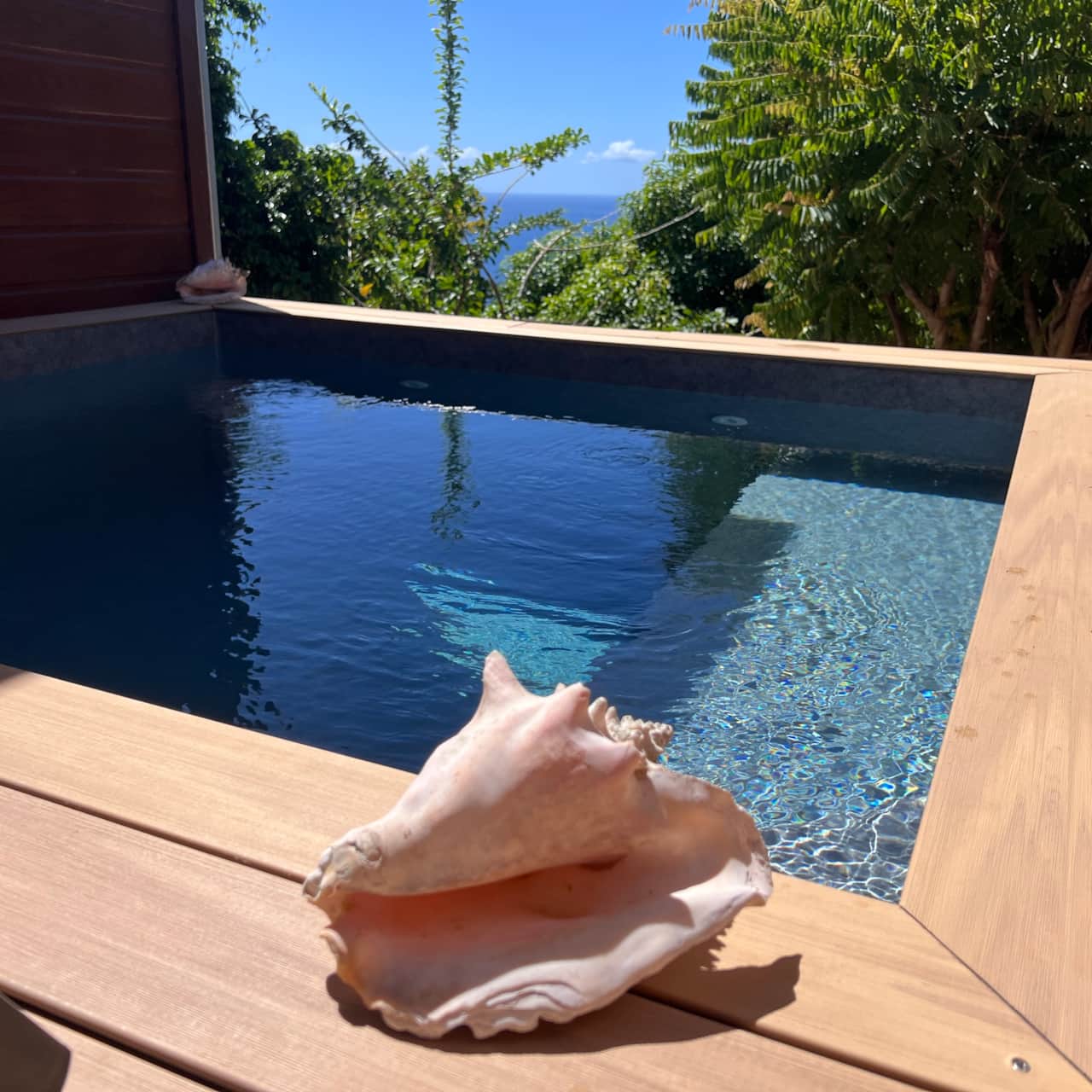 Piscine privée