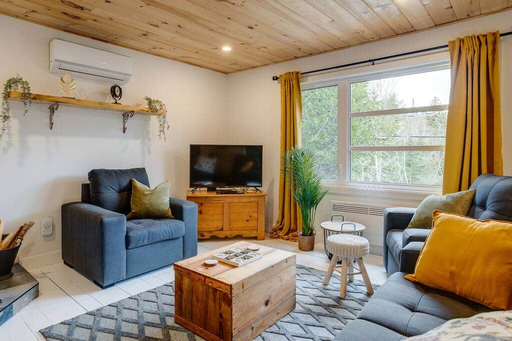 Salon avec foyer au bois