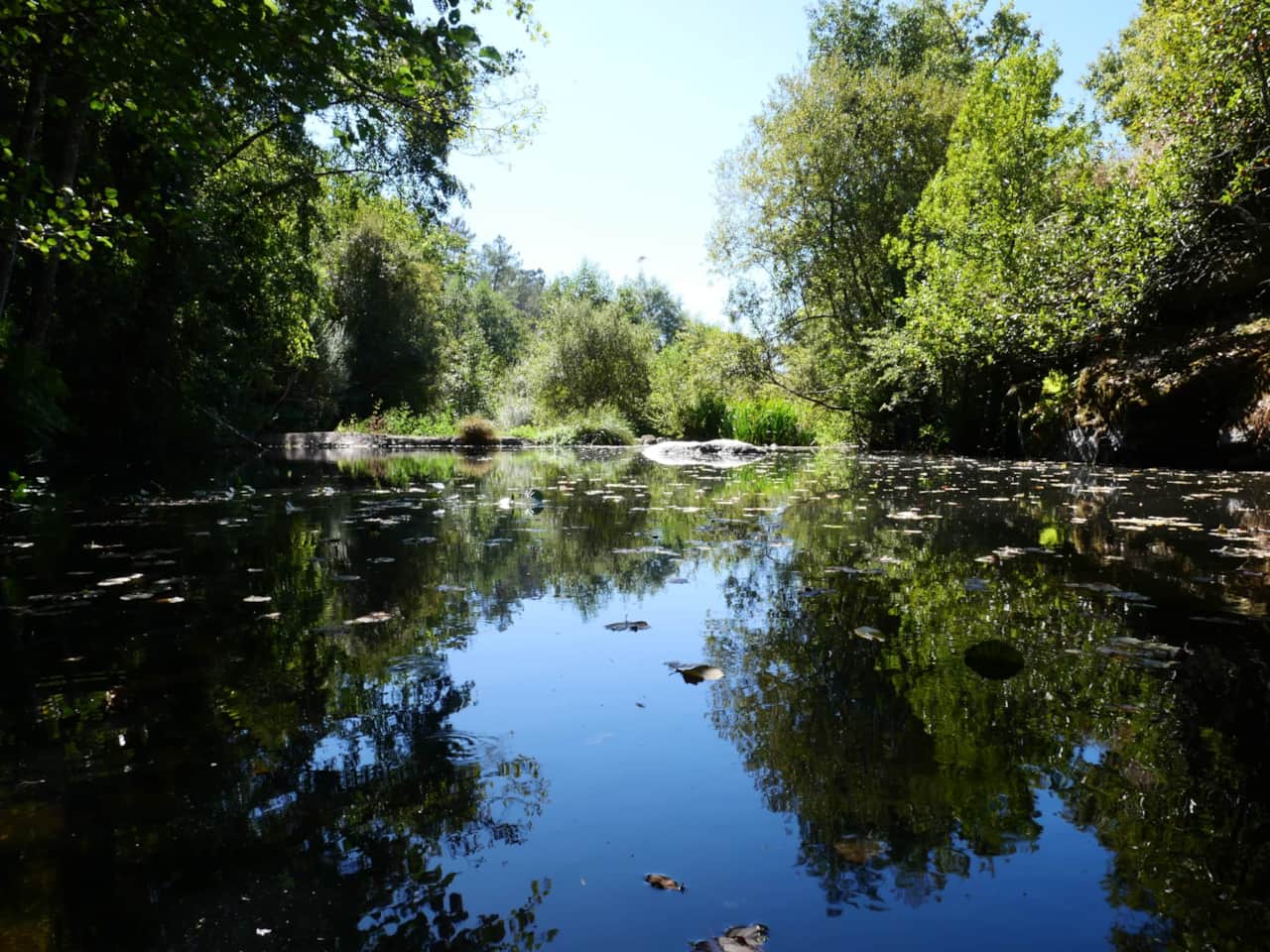 Rivier