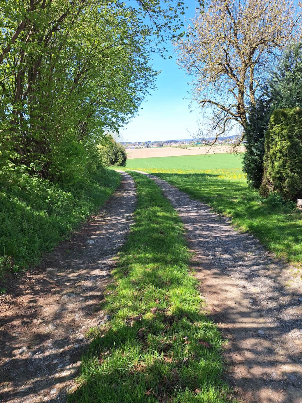 Wanderweg direkt ab Hof