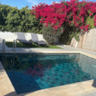 Rental image