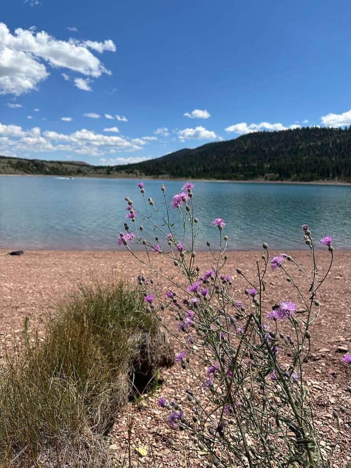 Newlan Reservoir, 12 miles North of White Sulphur Springs