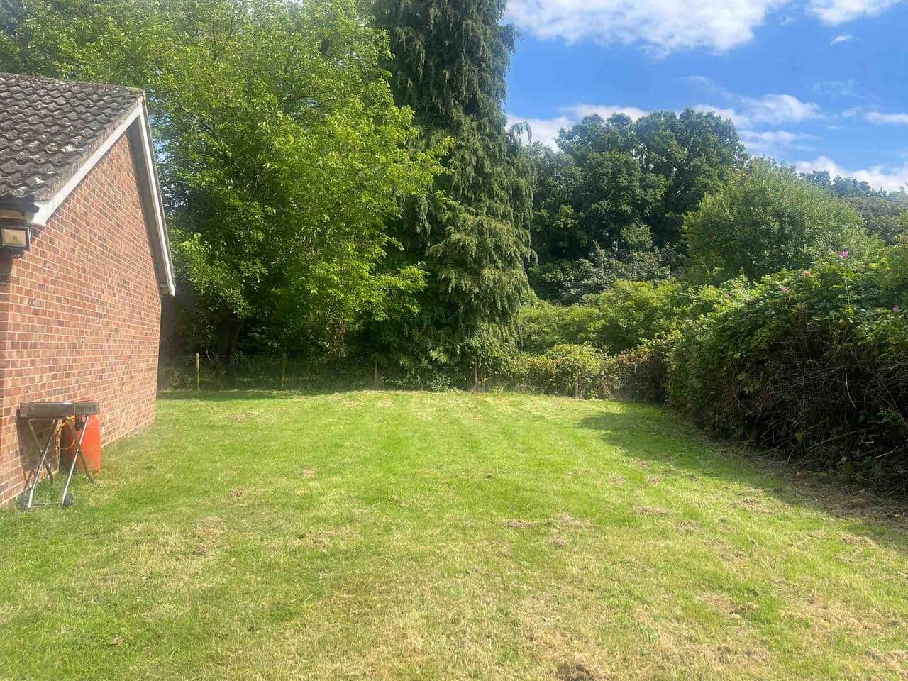 Spacious Garden