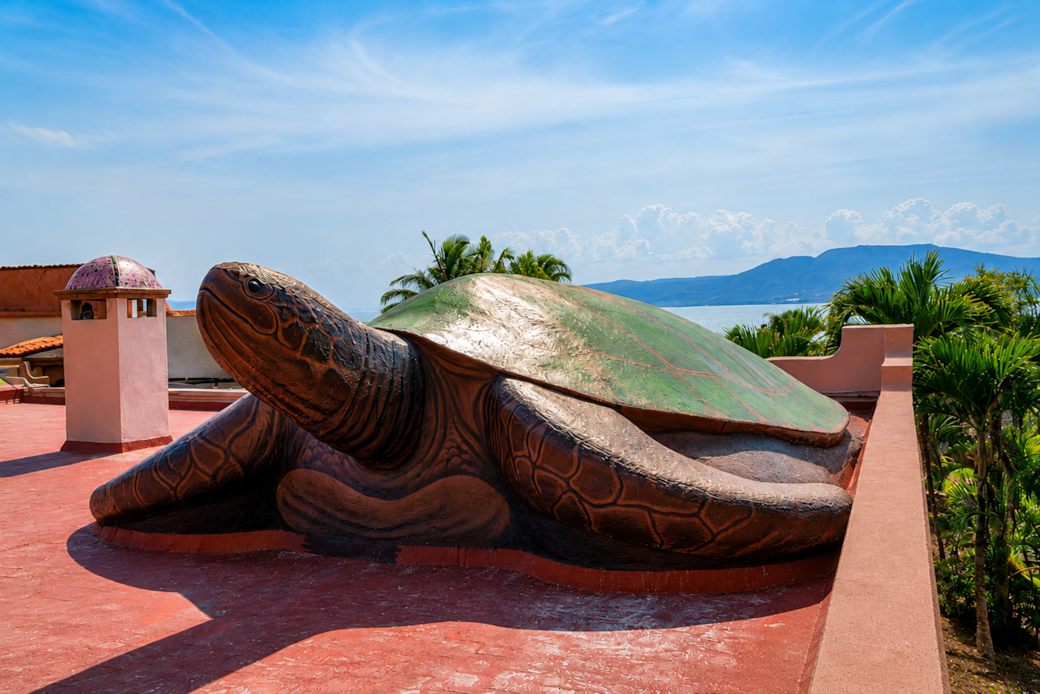 Turtle bright