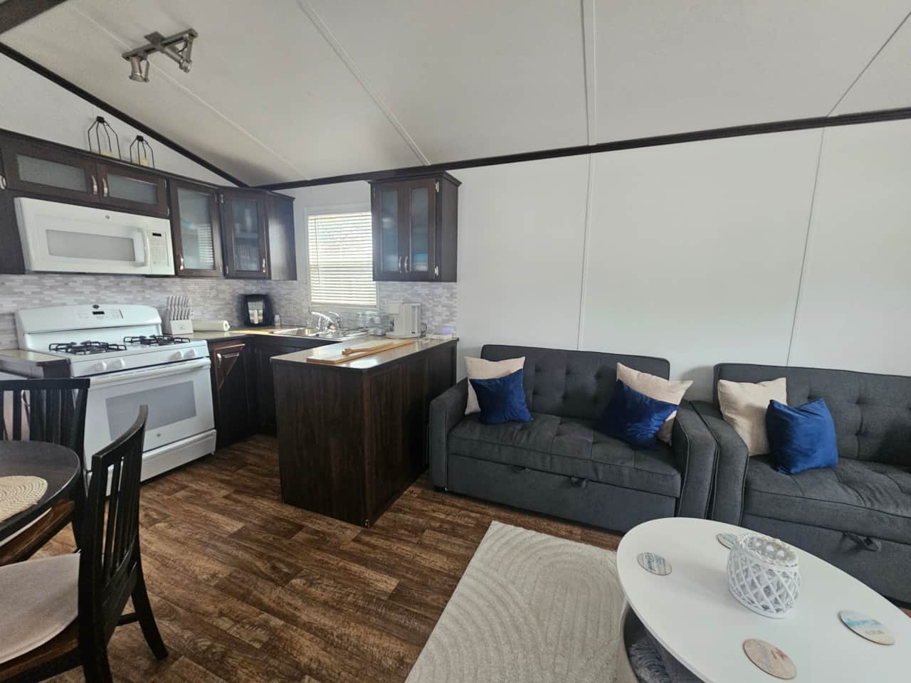 Living and kitchen 