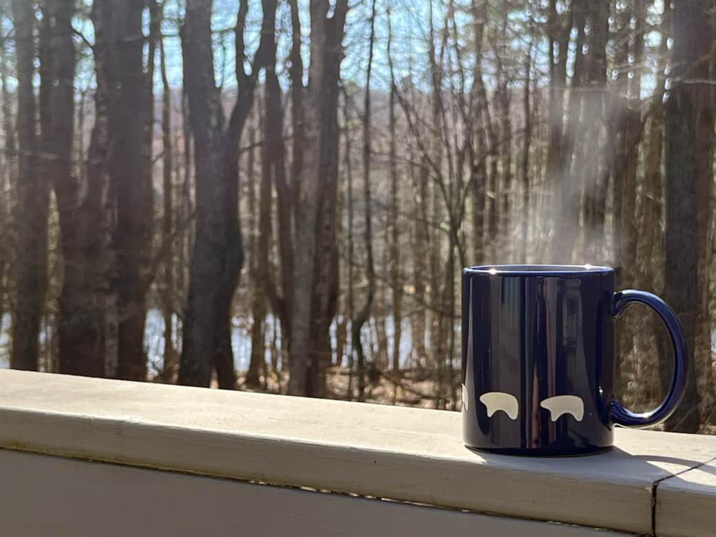 Have a cup of tea overlooking the pond