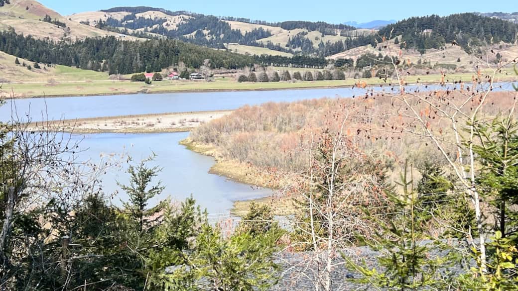 Rogue River High Tide