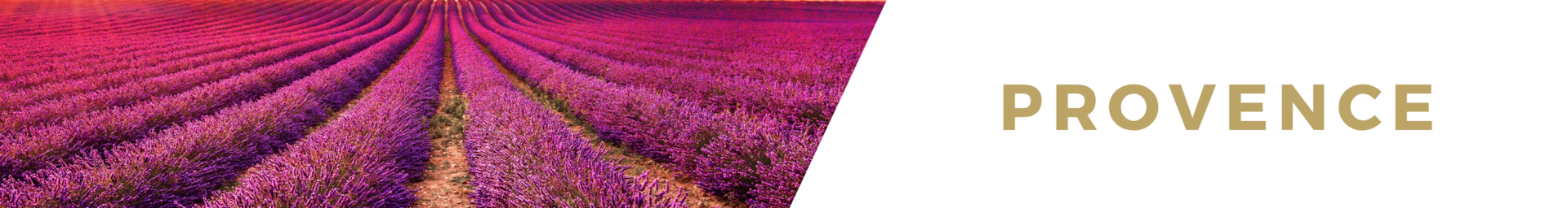 Provence luxury villa rentals