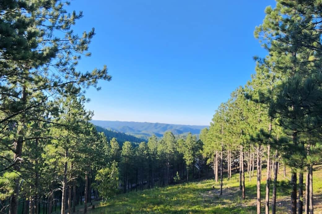 View from Main Deck View from Main Deck