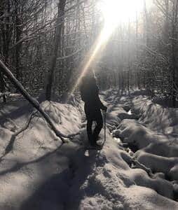 1d4f39a3 47e2 4de1 a66f 63803118d150 1d4f39a3 47e2 4de1 a66f 63803118d150