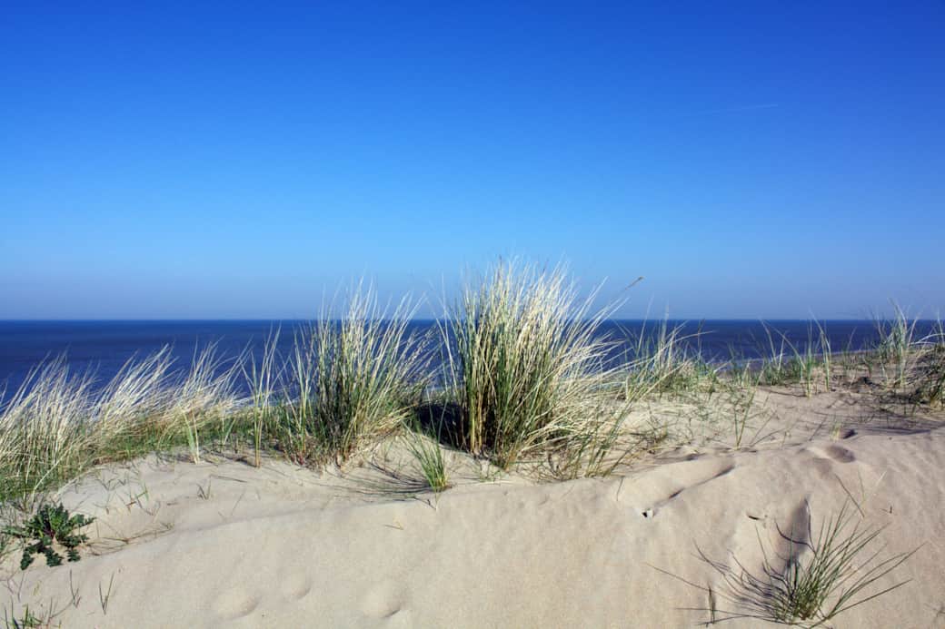 Dünen und Strand