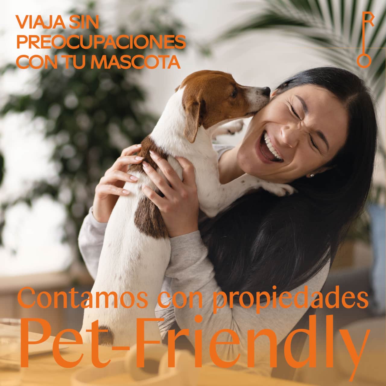 Apartamento que permite mascota