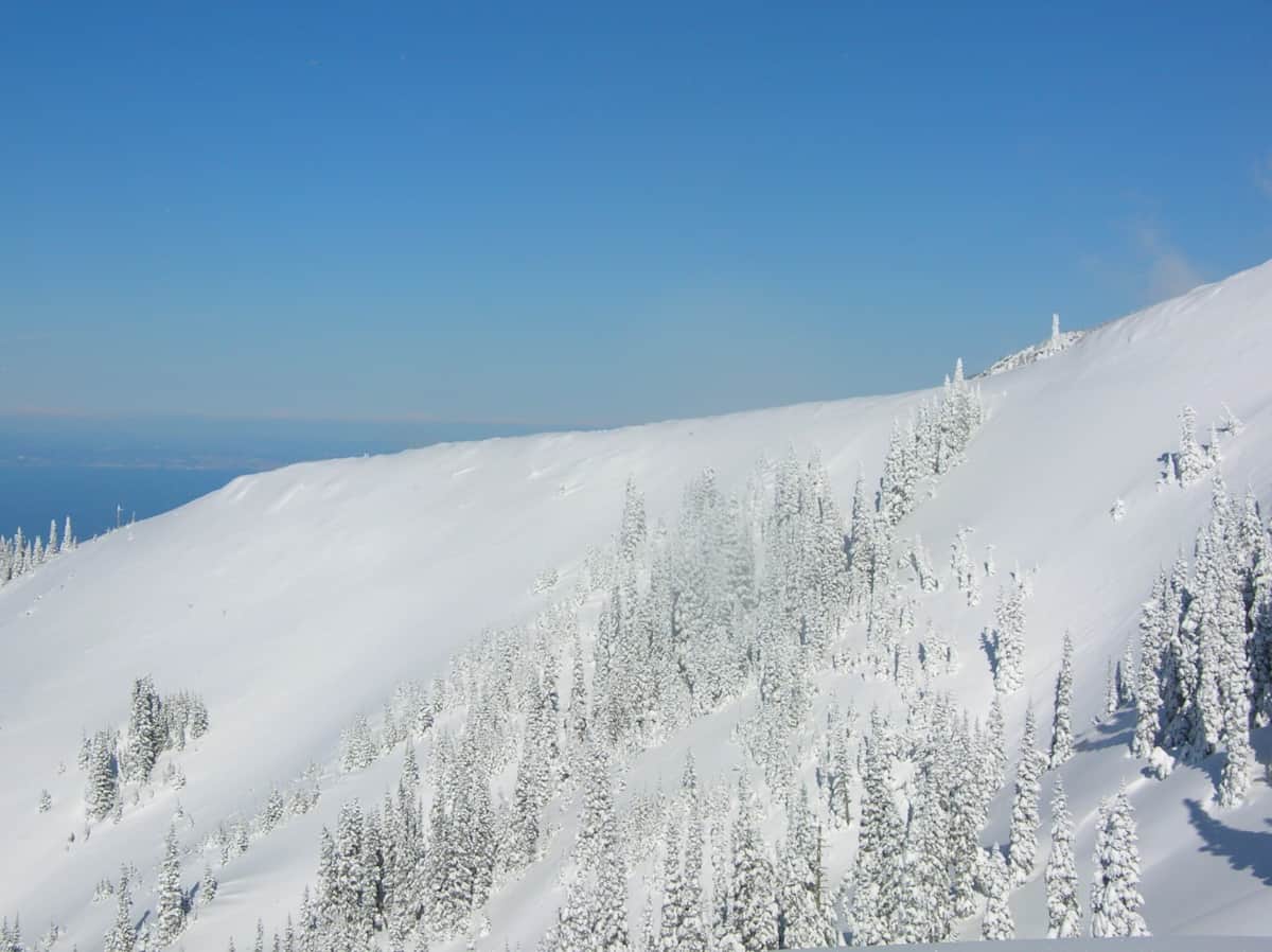 Wapiti Rose Your Gateway To Adventure