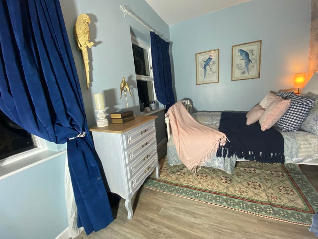 Blueberry bed1 Blueberry bed1