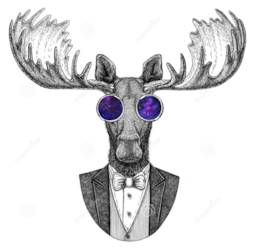 Spruce Moose