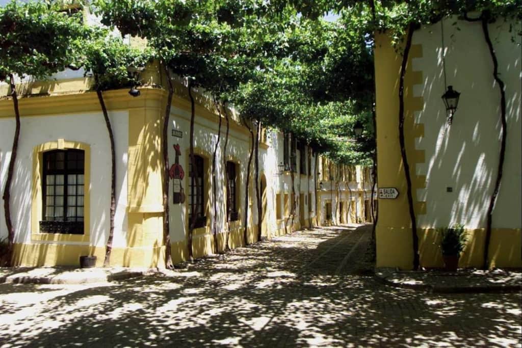 Calles emparradas de las Bodegas Tío Pepe