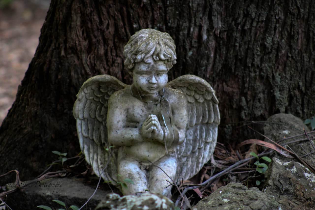 Angel @ Tomah Retreat