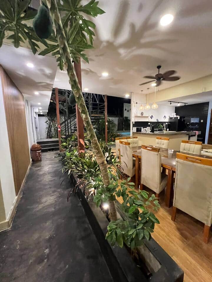 toda la casa rodeadada de plantas, flores y árboles frutales