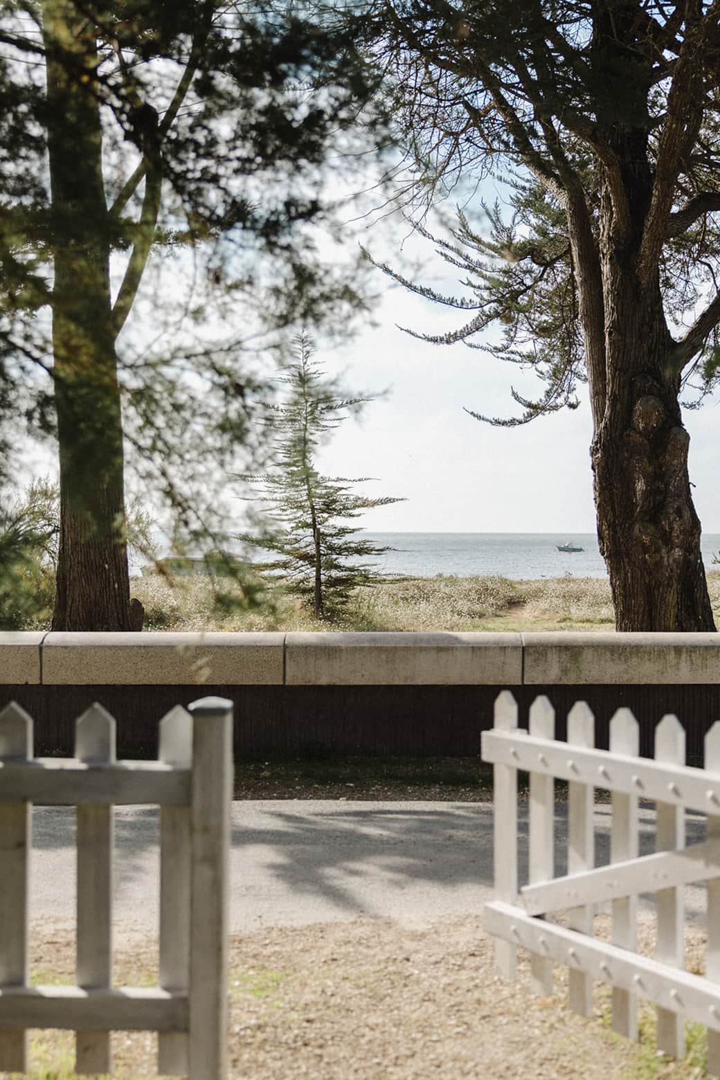 la vue depuis l'entrée