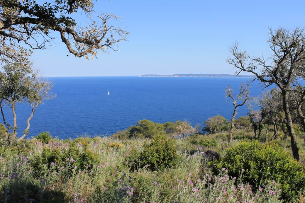 Espace vert derrière la villa