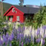 Rental image