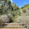 Immagine dell'alloggio