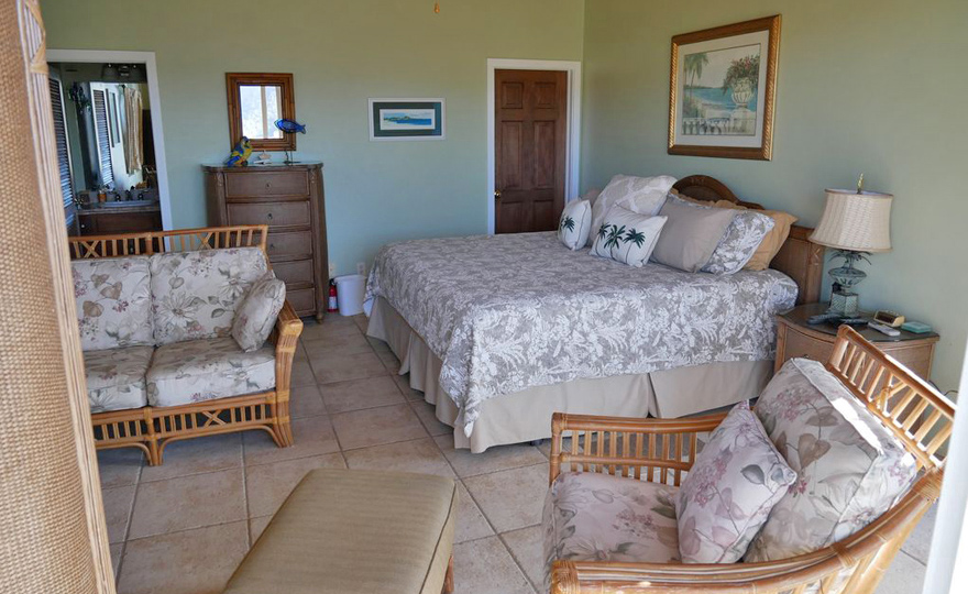 Lower Bedroom with king bed. 