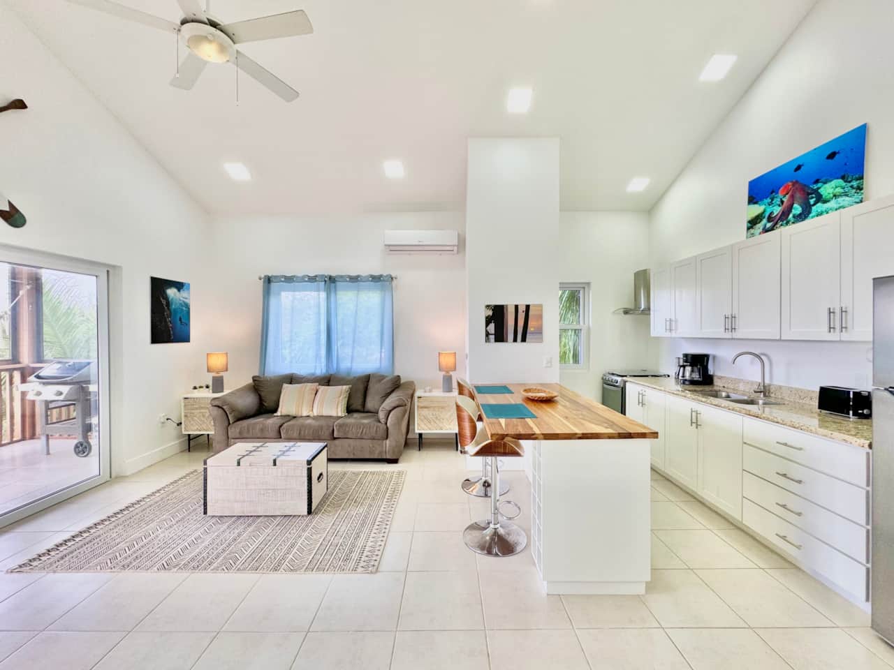 Living Room & Kitchen Area