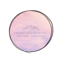Parmi Les Nuages