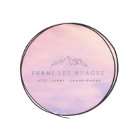 Parmi Les Nuages