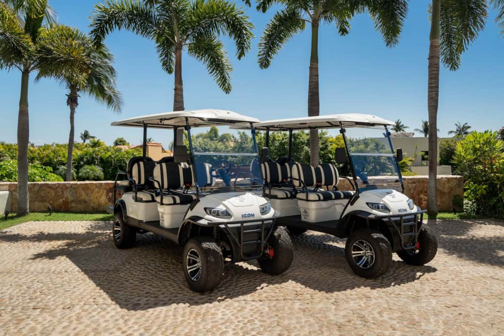 Two 6 Person Golf Carts