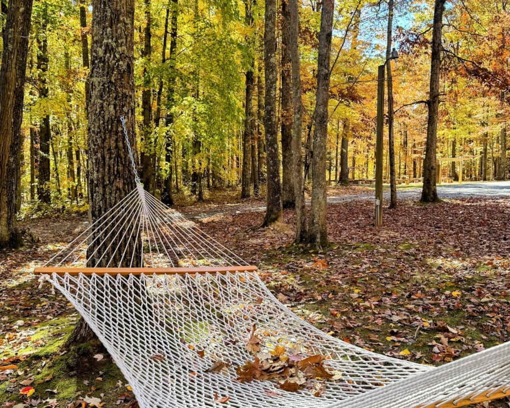 Inspiration for our logo.