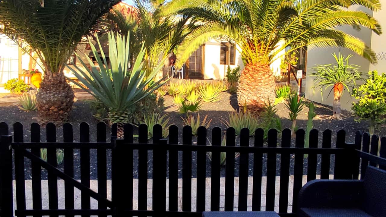 Tropical charm at Casa Palma – your peaceful oasis with palm trees