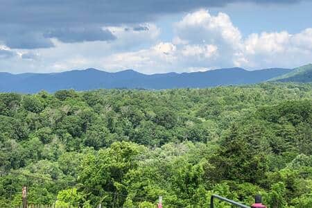 This is the 1st view you'll see when you arrive at the top of the driveway.