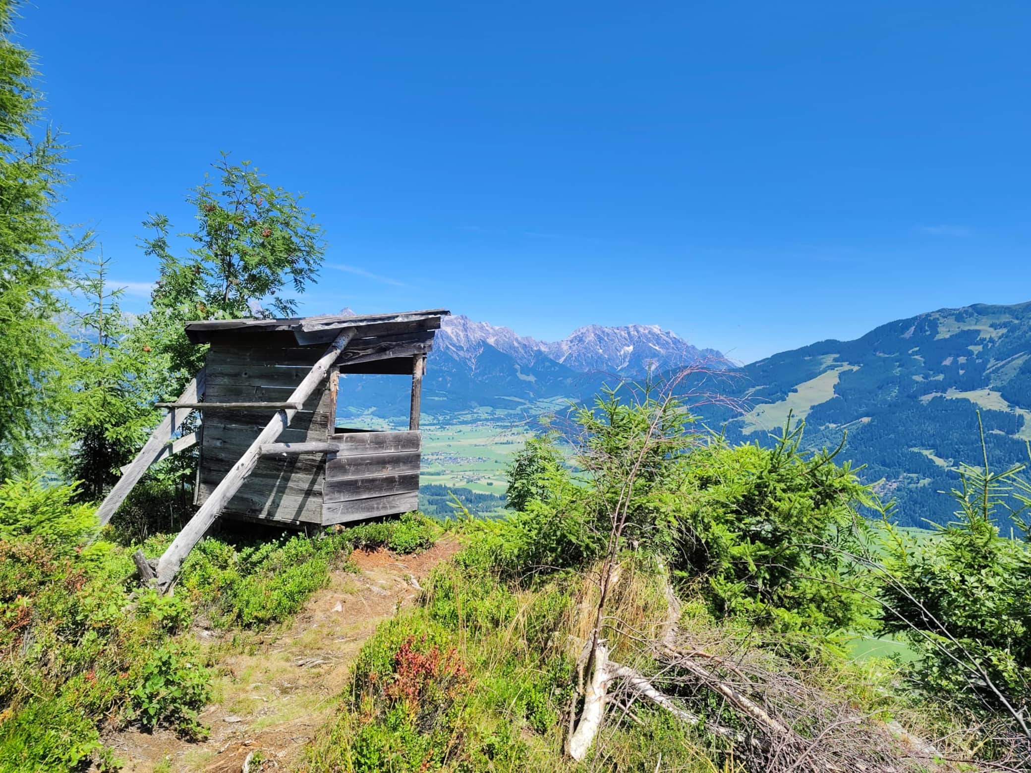 Bergnestblick Geheim von Maishofen