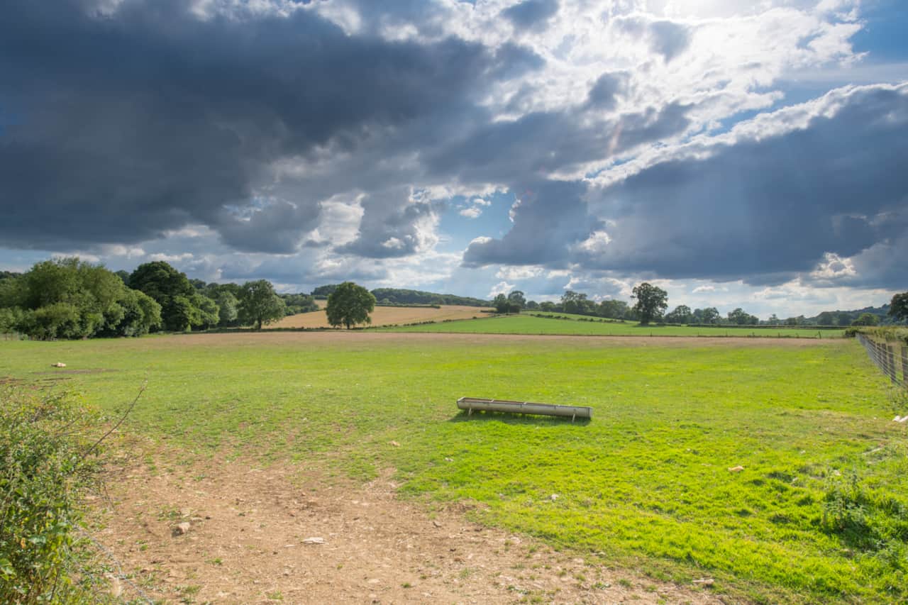 Farm views
