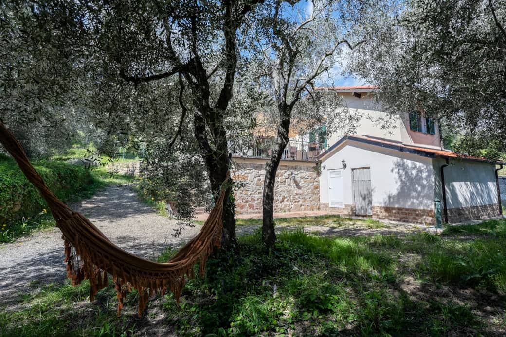 garden and hammock
