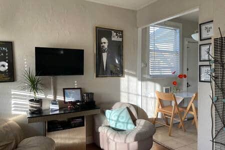 Warm inviting living room the smart TV ceiling fan DV player in collection