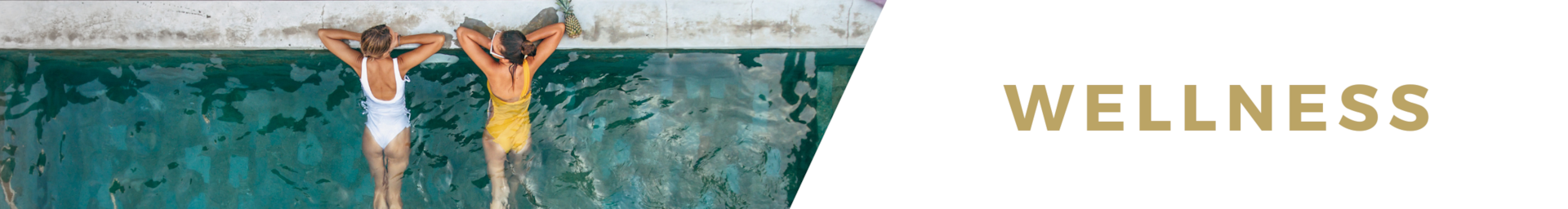 Wellness villa rentals