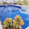 Rental image
