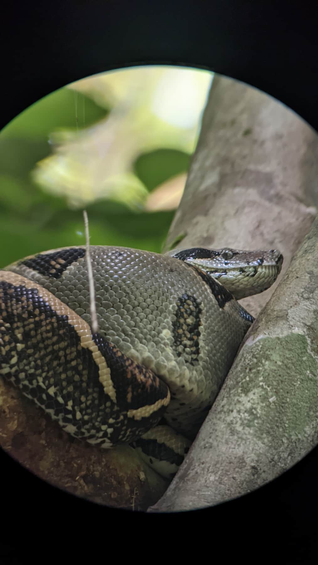 Manuel Antonio National Park