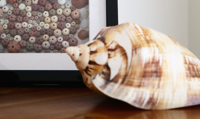 Robe, South Australia